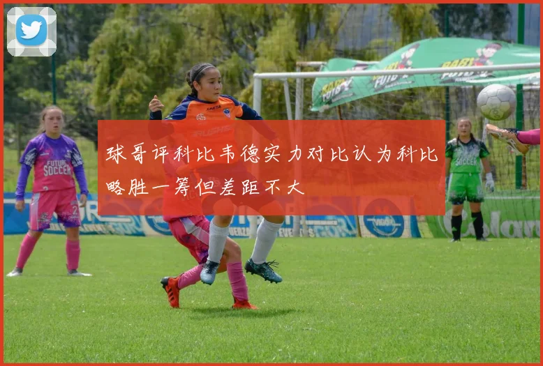 球哥评科比韦德实力对比认为科比略胜一筹但差距不大
